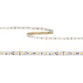 5012440216_Flexible LED SMD 2835 DTW_24V_Vorderseite